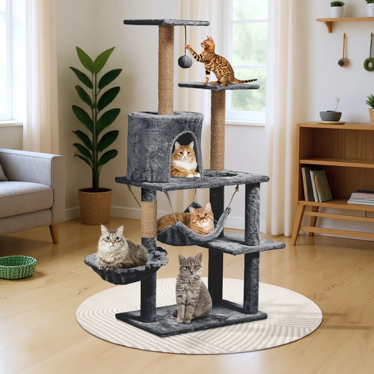 Cat Trees