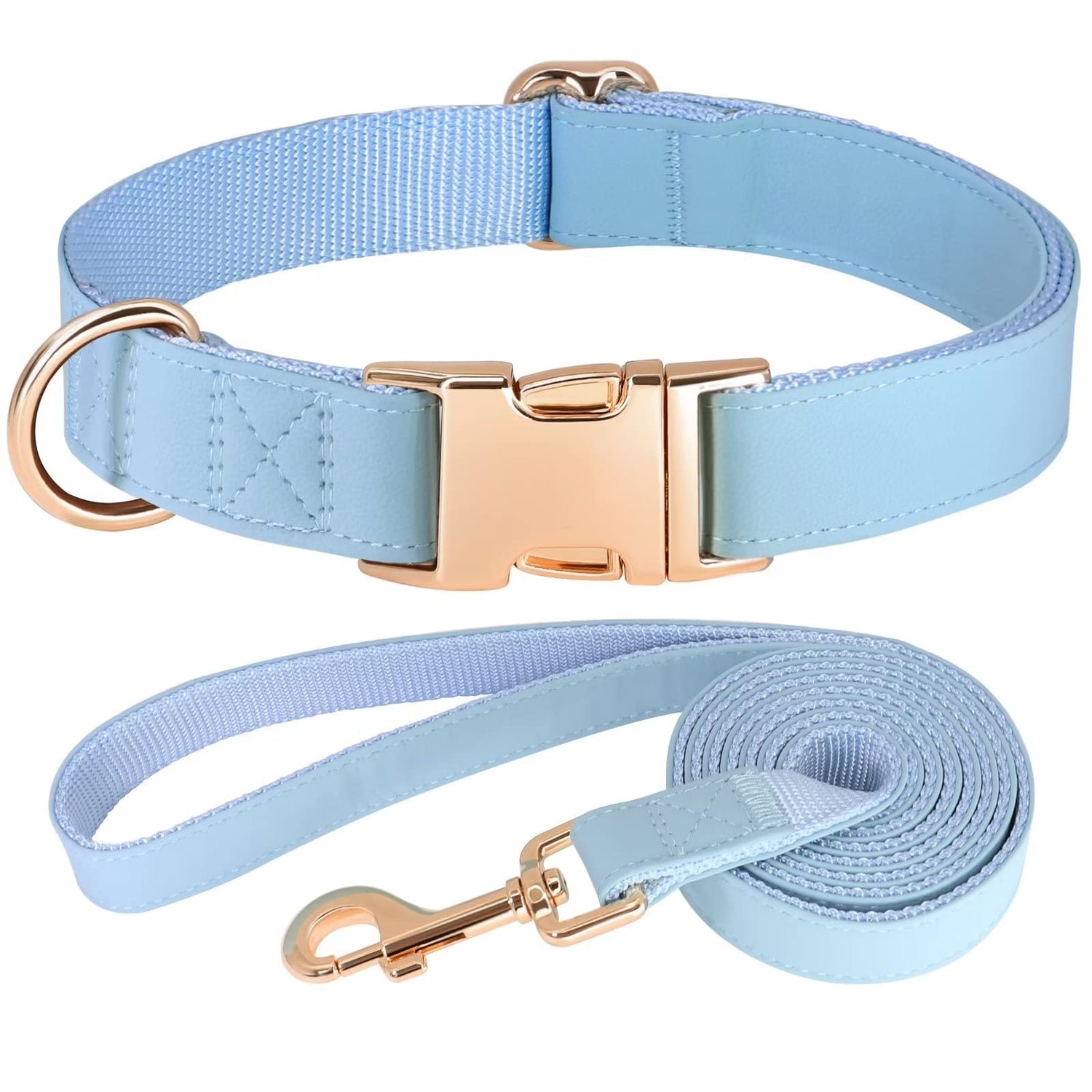 Collars and Leashes