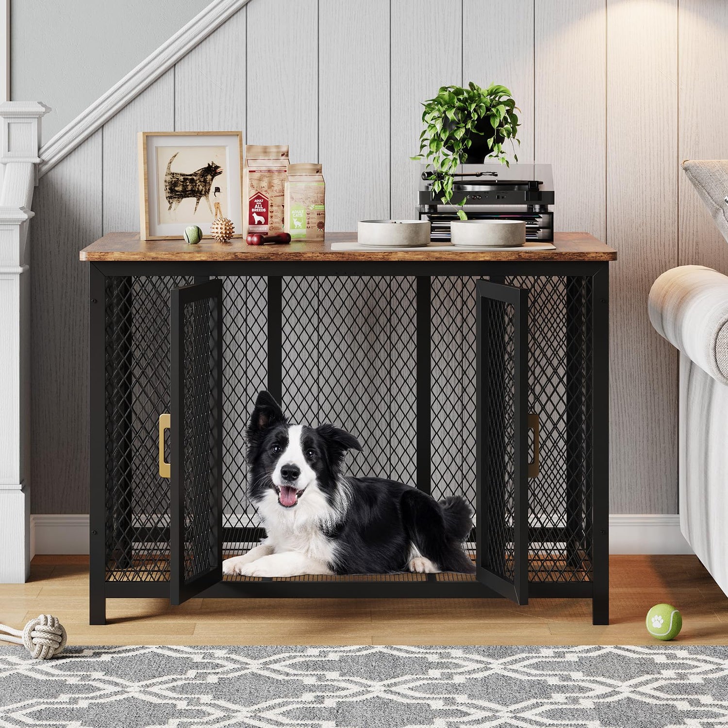 Crates and Kennels
