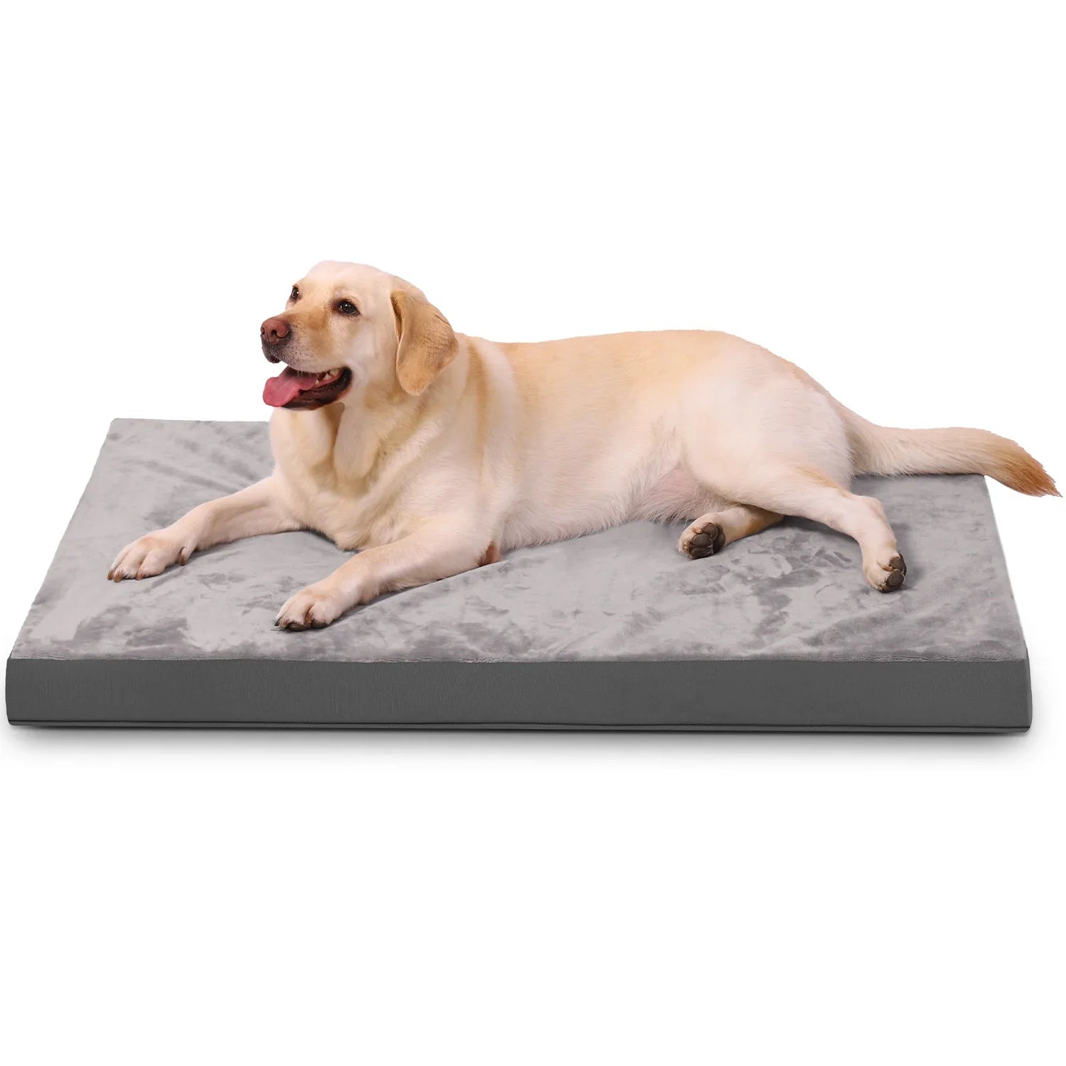Dog Beds