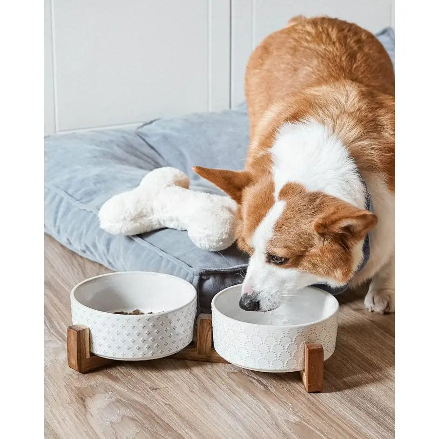Bowls Ceramic for Small Medium Dogs 3Cup Dual Food amp Water Bowl Set with Acacia Wood Stand, NonSlip AntiTip Elevated Design