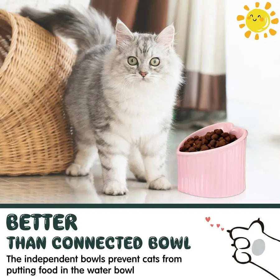 4 Pcs Elevated Cat Food Bowls, Ceramic Raised Cat Bowls, Shallow, Less Digestion Issues, Anti Vomiting, No Stress for Food and W