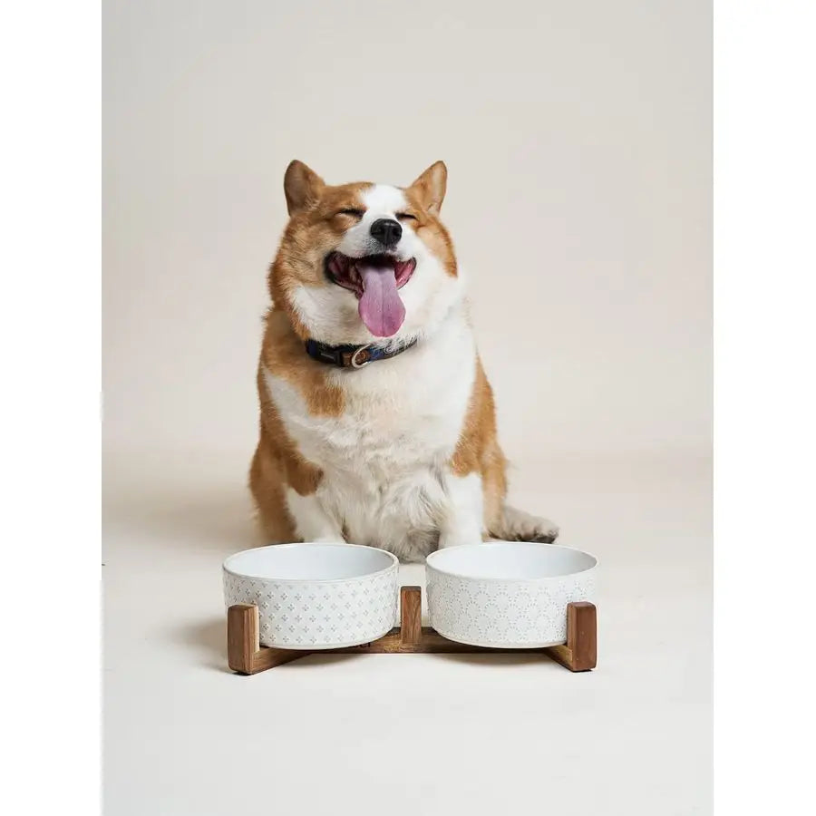 Bowls Ceramic for Small Medium Dogs 3Cup Dual Food amp Water Bowl Set with Acacia Wood Stand, NonSlip AntiTip Elevated Design
