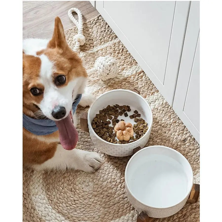 Bowls Ceramic for Small Medium Dogs 3Cup Dual Food amp Water Bowl Set with Acacia Wood Stand, NonSlip AntiTip Elevated Design