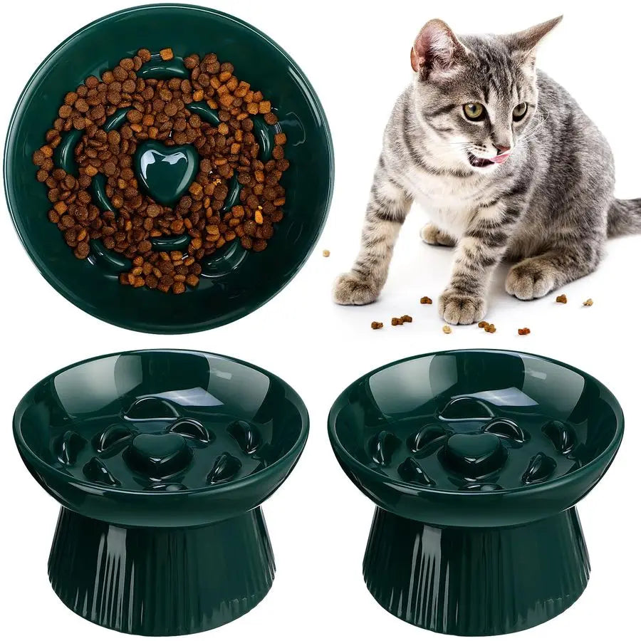 2 Pcs Raised Cat Slow Feeder Bowl Ceramic Elevated Cat Dog Food Bowl No Spill High Edge for Dry Wet Food and Water Easy to Clean